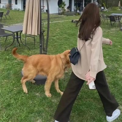 飞兔大联盟